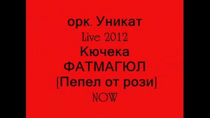 ork. Unikat kenan-kiucheka Fatmagiul [pepel ot rozi] Live 2012 Now