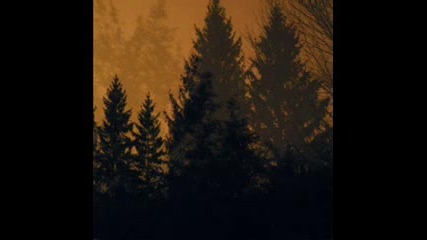 If These Trees Could Talk - What s In The Ground Belongs To You 