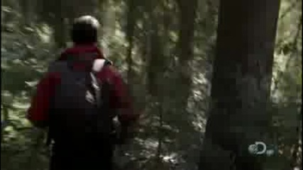 Bear Grylls - Ultimate Survival In Transylvania,  Romania part 3 of 5