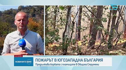 Новините на NOVA (01.08.2024 - обедна емисия)