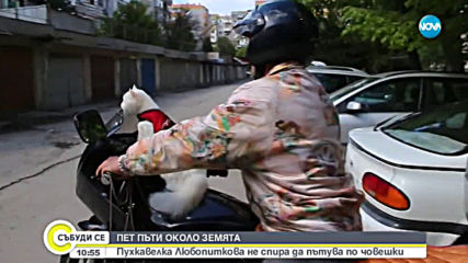 ПЕТ ПЪТИ ОКОЛО ЗЕМЯТА: Пухкавелка Любопиткова не спира да пътува по човешки