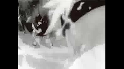 Naruto - Animal I Have Become