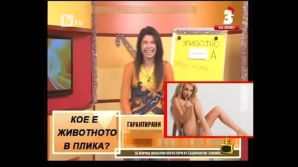 Телевизионни загадки- Господари на ефира-31.01.2012
