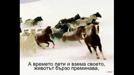 Среднощен Размисъл - Арабаджиева