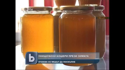 Унищожени кошери през зимата