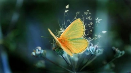 Twelve - Spring (original Mix)