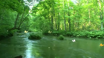 Sunny day! ... ... (music Andre Rieu) ... ...