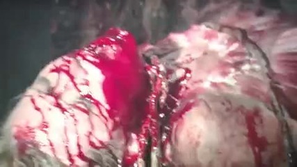 Dawn of Ashes Transformation within Fictional Mutation (official Video) 