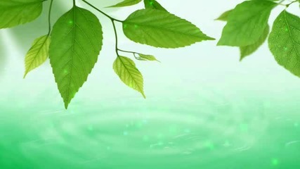 Medwyn Goodall - Water Song (music for Relaxation and Meditation)