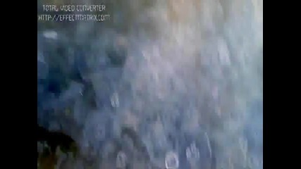 Изумително ! Нашествие от медузи