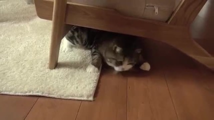 Мару си играе под дивана