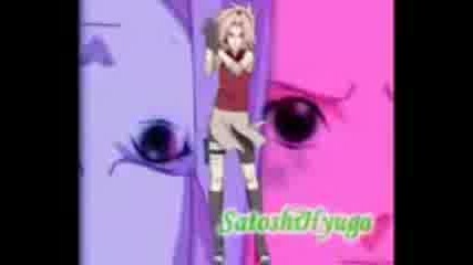 Sakura Amv