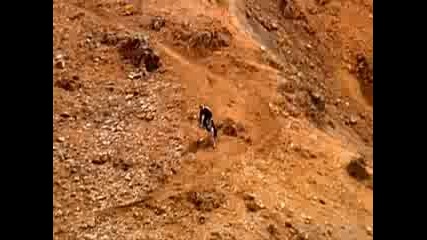 Freeride - Downhill - Dirt Jump 2.2