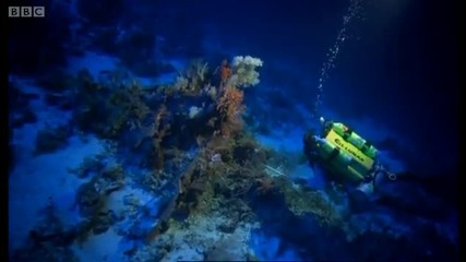 The fish collectors - Pacific Abyss - Bbc 