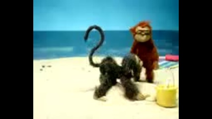 По - тъпа маймуна от тази няма ! 