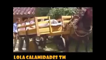 Lola Calamidades - piloto de la novela 