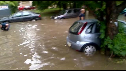 орой София 15.06.2010 ул.коста лулчев, жк.гео Милев 3