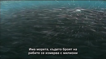 Bbc.blue.planet.the.seasonal.sea 