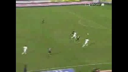 Fiorentina 2006 - 2007