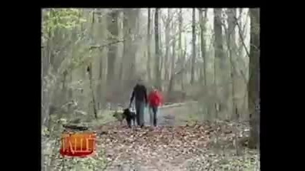 Компилация смях