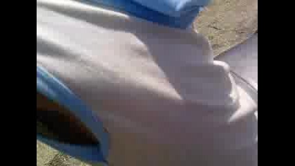 denis