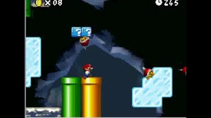 Nsmb~5 - 2 level