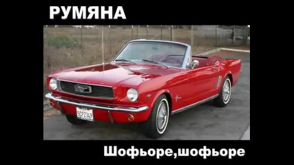 Румяна - Шофьоре, Шофьоре