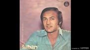Saban Saulic - Ti motiku a ja plug - (Audio 1975)