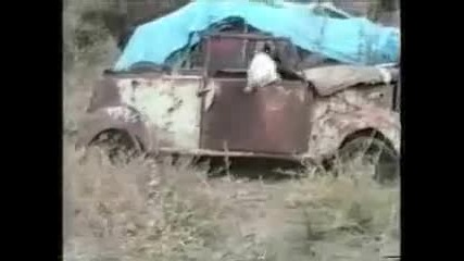 смях с котенца