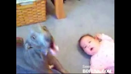 Куче И Бебе Си Говорят Смях
