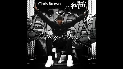 *new*chris Brown - They Say (new 2010 Song) Hq