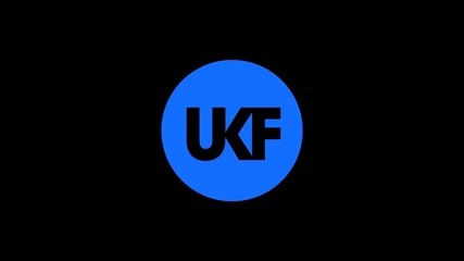 Skream Example - Shot Yourself In The Foot Again