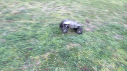 Wild Commando in action