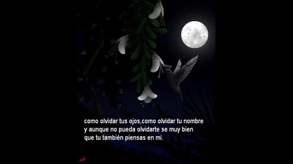 Tommy Torres - Como Olvidar!