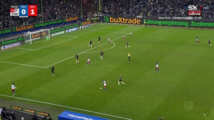 Hamburger SV vs. Bayer 04 Leverkusen - Game Highlights