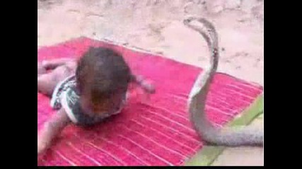 Ужасяващо! Змия Хапе Бебе!? - No Kill
