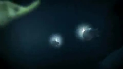 Seat Commercial (2010) 