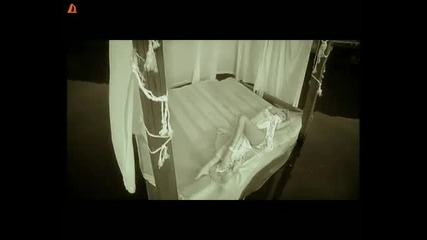 Kamelia - Oshte te obicham