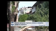 Силни ветрове счупиха клони в няколко града в страната