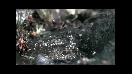 начин за спасяване на кожата