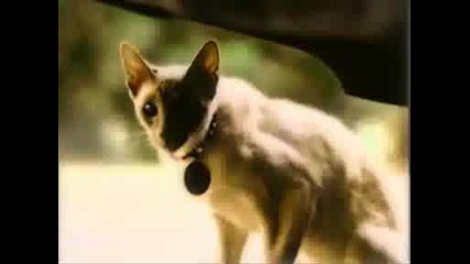 charmed opening (original season 1)