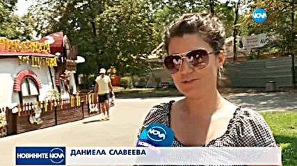 ИЗМАМА: Появиха се листовки за безплатен градски транспорт в София