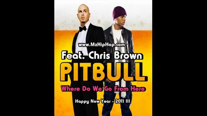 Pitbull Feat. Chris Brown - Where Do We Go From Here [official Song]