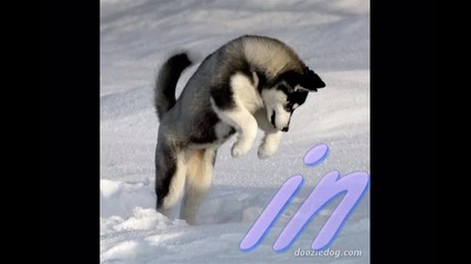 my new story 