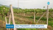 Новините на NOVA (08.05.2025 - обедна емисия)