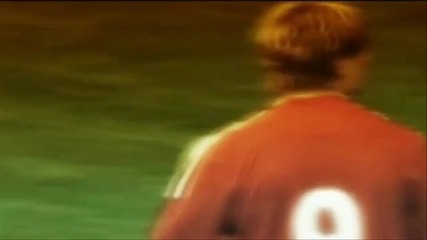 Fernando Torres The Liverpool Fighter