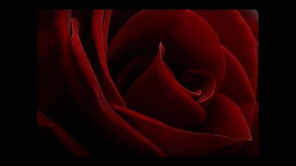 Srebrna Krila - O Ana