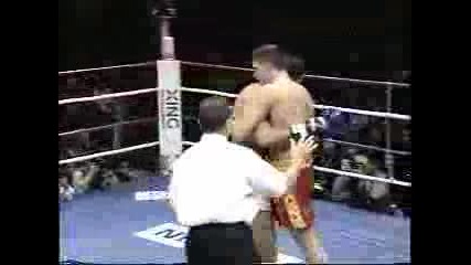 Peter Aerts Brutal Ko