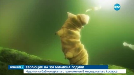 Новините на NOVA (29.12.2016 - централна емисия)