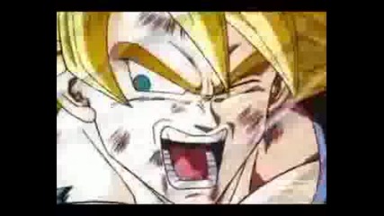 Dbz - In The End